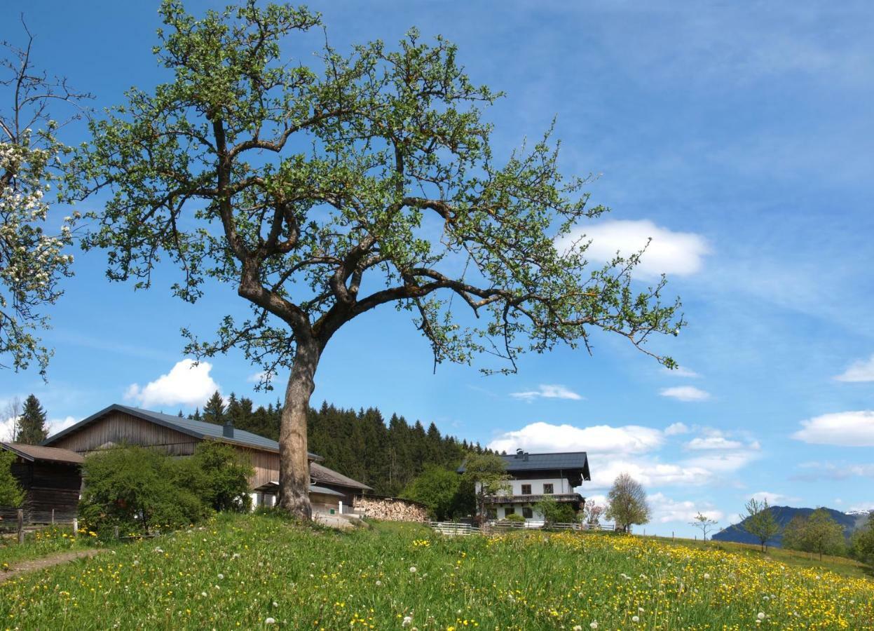 Unterhofgut Villa Goldegg Exterior photo